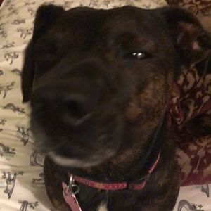 Meet your Posher, Ben